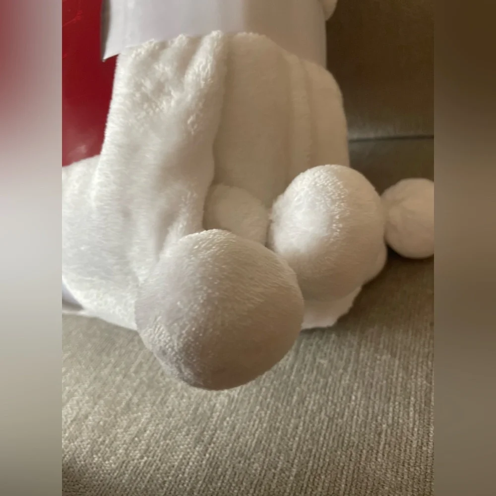 Twin Pompom White Blanket Target Wondershop